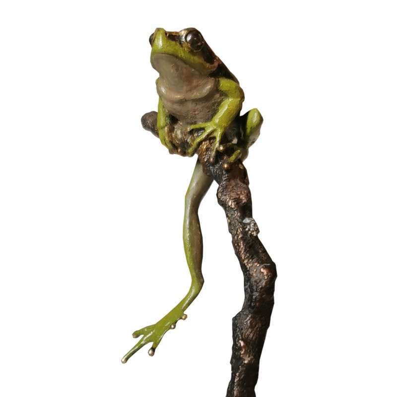 Frog on branch